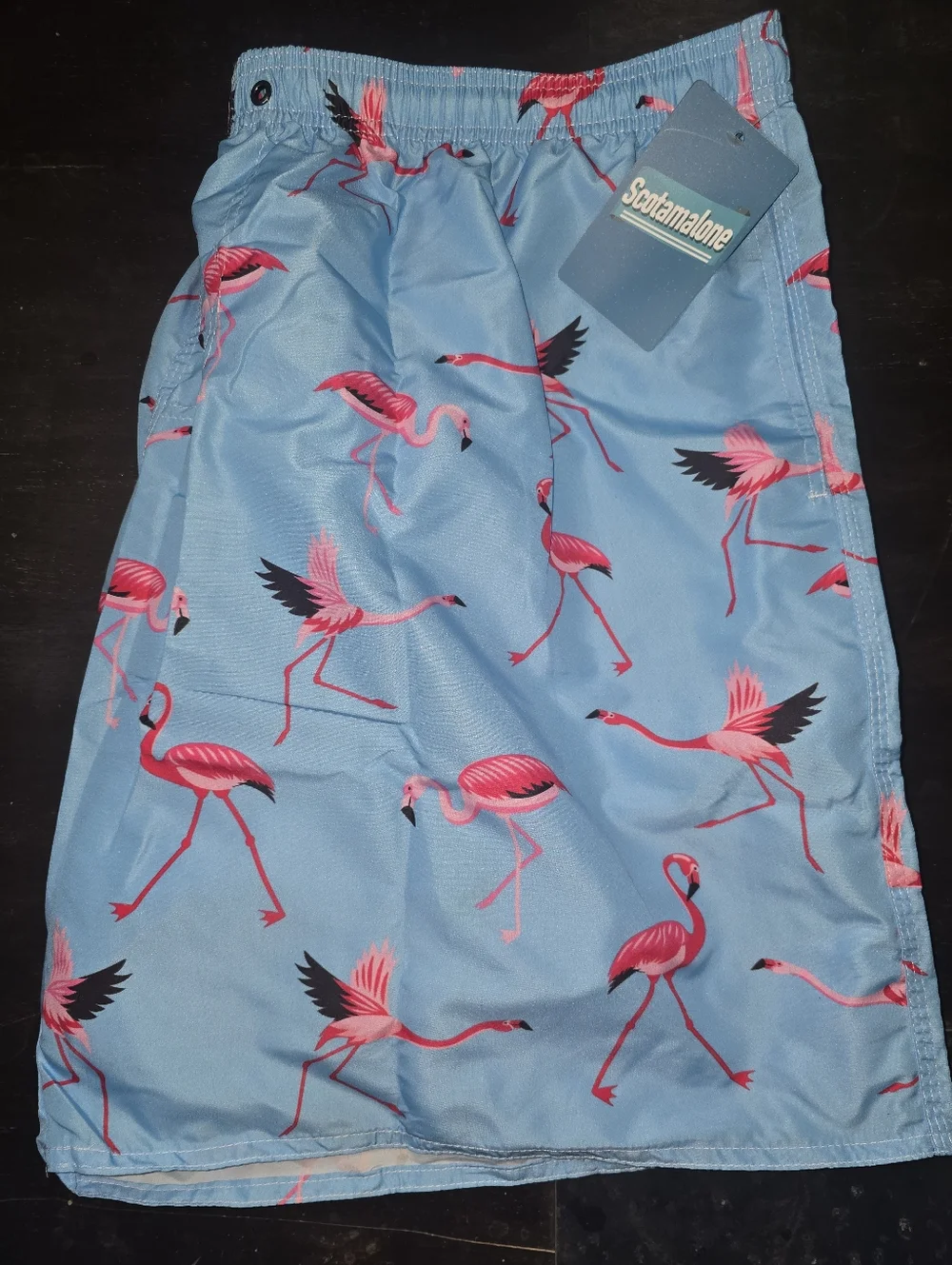 Men's Flamingo‎ Print Swim Trunks - Blue